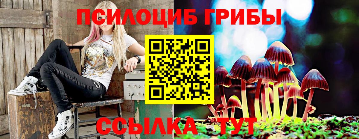 Кострома  Галлюциногенные грибы MAGIC MUSHROOMS  Псилоцибиновые грибы GOLDEN TEACHER  Вход с VPN 